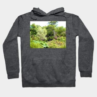 Dunvegan Castle Gardens Hoodie